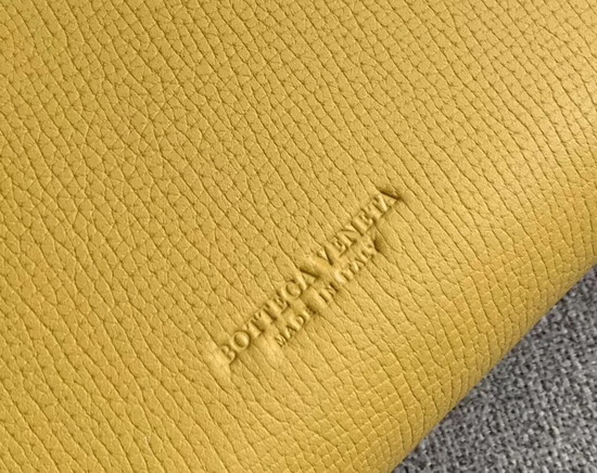 Bottega Veneta BV Angle Bag in Yellow Palmellato