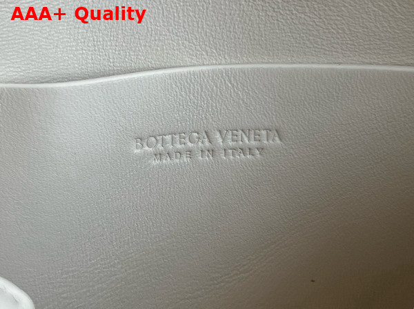 Bottega Veneta Intrecciato Concert Pouch in Sea Salt Intrecciato Nappa Leather Replica