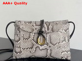 Bottega Veneta Liberta Crossbody Bag in Python Leather Replica