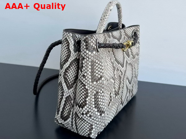 Bottega Veneta Medium Andiamo Bag in Grey Python Leather Replica