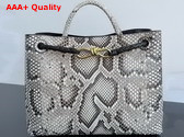 Bottega Veneta Medium Andiamo Bag in Grey Python Leather Replica