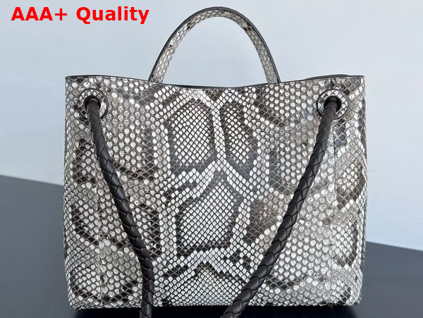 Bottega Veneta Medium Andiamo Bag in Grey Python Leather Replica