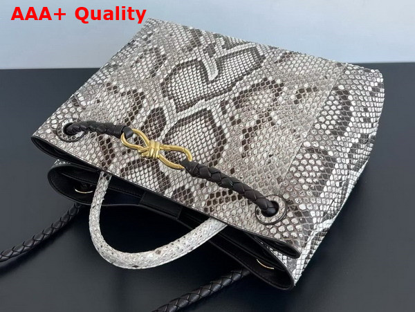 Bottega Veneta Medium Andiamo Bag in Grey Python Leather Replica