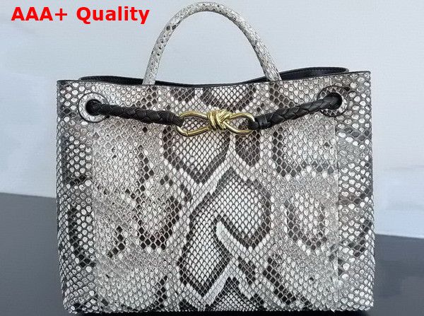 Bottega Veneta Medium Andiamo Bag in Grey Python Leather Replica