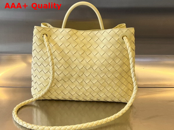 Bottega Veneta Medium Andiamo Ice Cream Intrecciato Leather Replica