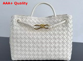 Bottega Veneta Medium Andiamo Sea Salt Intrecciato Leather Replica