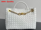 Bottega Veneta Medium Andiamo with Chain in Sea Salt Intrecciato Leather Replica