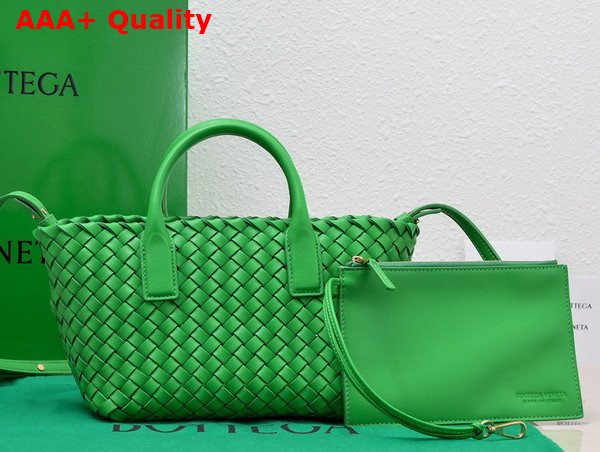 Bottega Veneta Mini Cabat Parakeet Lamb Skin Replica