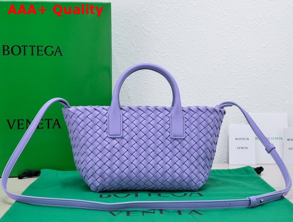 Bottega Veneta Mini Cabat in Purple Lamb Skin Replica