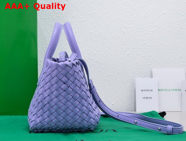 Bottega Veneta Mini Cabat in Purple Lamb Skin Replica