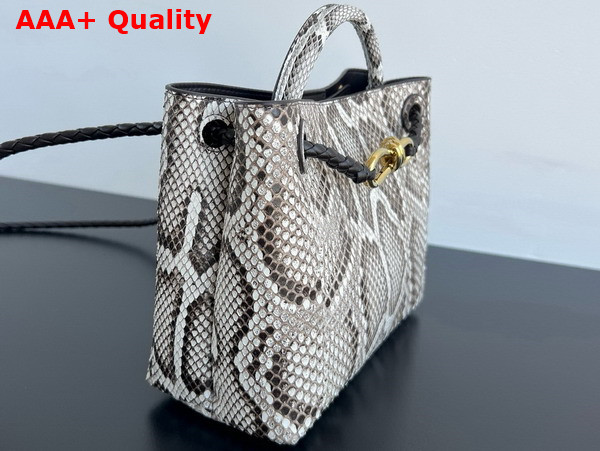 Bottega Veneta Small Andiamo Bag in Python Leather Grey Replica