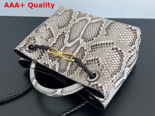 Bottega Veneta Small Andiamo Bag in Python Leather Grey Replica