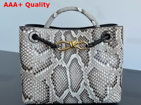 Bottega Veneta Small Andiamo Bag in Python Leather Grey Replica