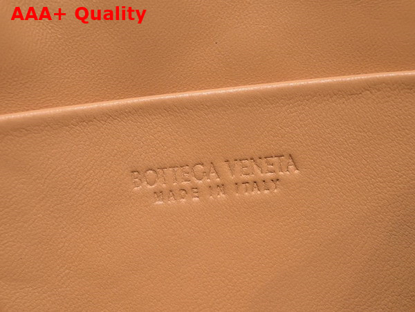 Bottega Veneta Small Loop Camera Bag in Almond Lamb Skin Replica