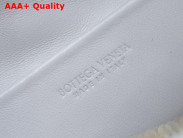 Bottega Veneta Small Loop Camera Bag in White Lamb Skin Replica