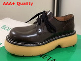 Bottega Veneta The Bounce Lace Ups Brown Calfskin Replica