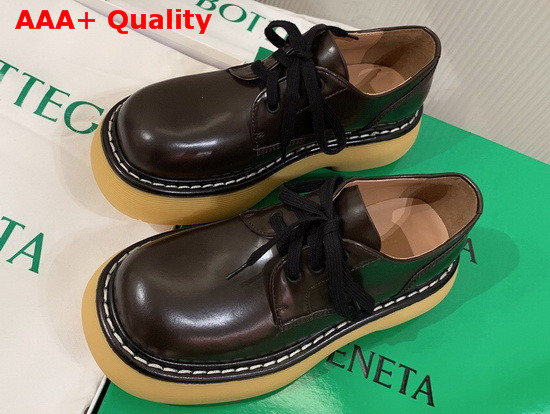 Bottega Veneta The Bounce Lace Ups Brown Calfskin Replica