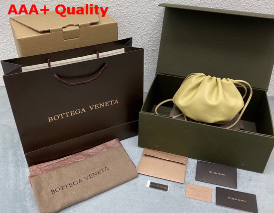 Bottega Veneta The Mini Bulb in Tapioca Nappa Leather Replica