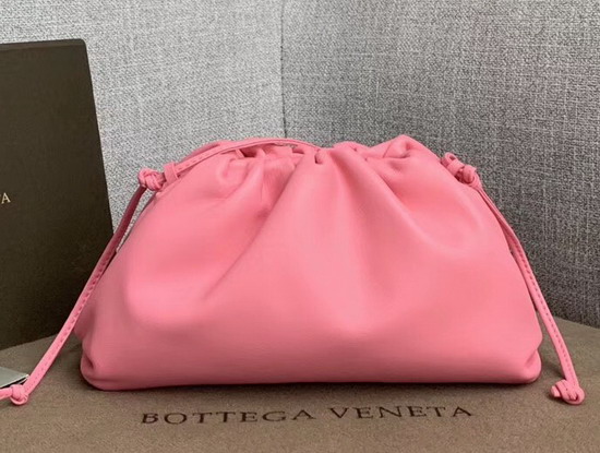 Bottega Veneta the Pouch 20 in Rose Butter Calf Leather