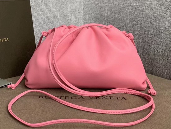 Bottega Veneta the Pouch 20 in Rose Butter Calf Leather