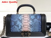 Boy Chanel Flap Bag with Handle Light Blue Python and Lambskin Trim Replica