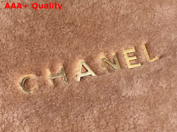 Chanel 22 Handbag in Light Pink Shearling Lambskin Gold Tone Metal AS3261 Replica