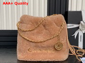 Chanel 22 Mini Handbag Shearling Lambskin Gold Tone Metal Light Pink AS3980 Replica