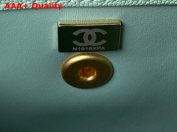 Chanel Authentic Chanel Coco Handle Bag in Light Green Grained Calfskin Replica