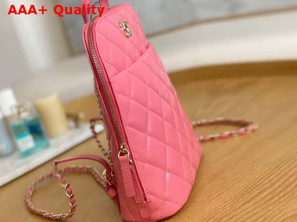 Chanel Backpack in Pink Shiny Calfskin Replica