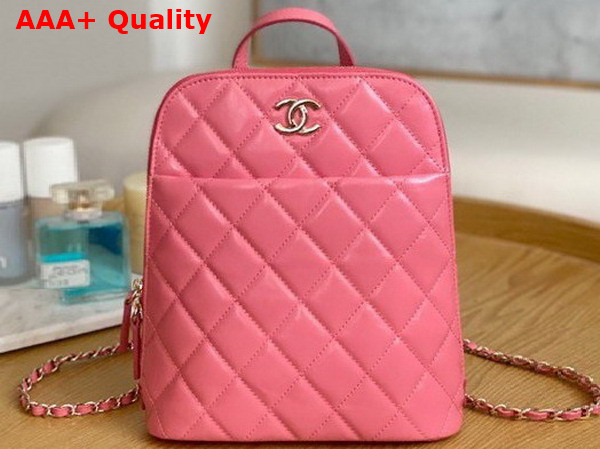 Chanel Backpack in Pink Shiny Calfskin Replica