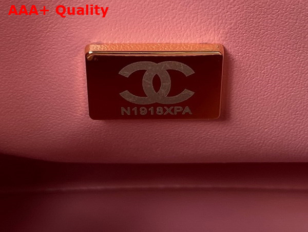 Chanel Bag with Top Handle Calfskin and Gold Tone Metal Pink Ref AS4201 Replica