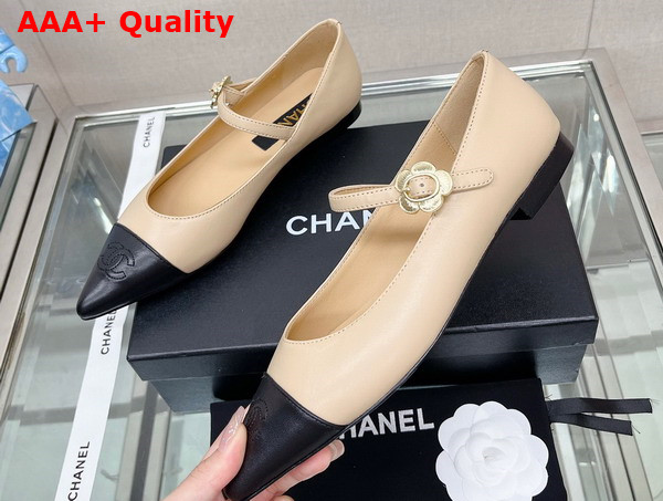 Chanel Ballet Flat in Beige Lambskin with Black Point Toe Replica