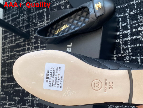 Chanel Ballet Flats Calfskin and Lambskin Black G45879 Replica