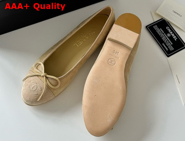 Chanel Ballet Flats in Beige Suede Goatskin G46026 Replica