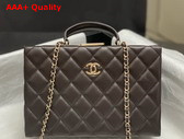 Chanel Box Bag in Dark Brown Lambskin Gold Tone Metal AS5168 Replica