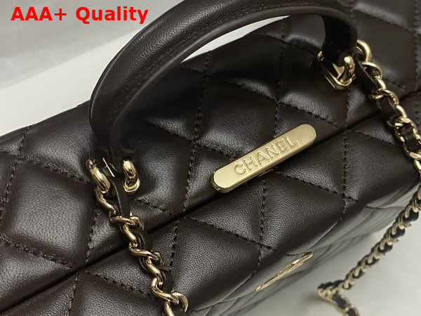 Chanel Box Bag in Dark Brown Lambskin Gold Tone Metal AS5168 Replica