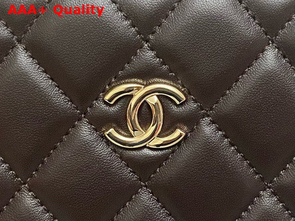 Chanel Box Bag in Dark Brown Lambskin Gold Tone Metal AS5168 Replica