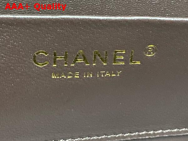 Chanel Box Bag in Dark Brown Lambskin Gold Tone Metal AS5168 Replica