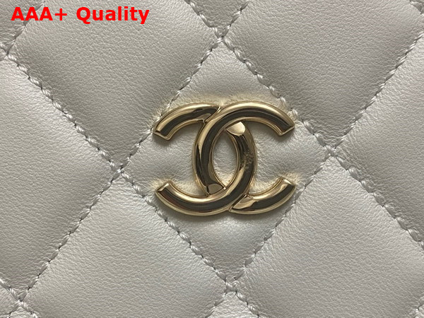 Chanel Box Bag in White Lambskin Gold Tone Metal AS5168 Replica