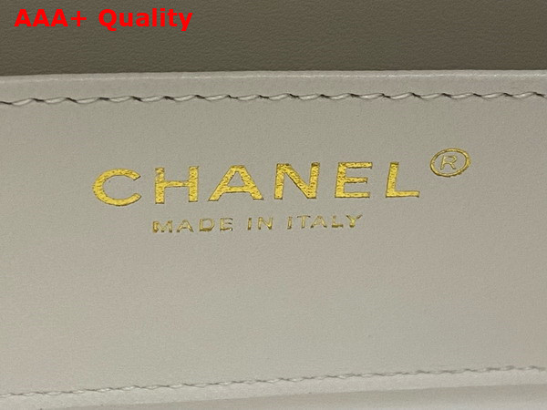 Chanel Box Bag in White Lambskin Gold Tone Metal AS5168 Replica