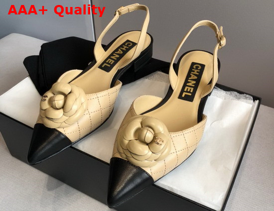 Chanel Camelia Slingbacks Beige and Black Lambskin Replica