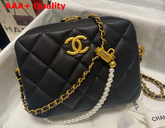 Chanel Camera Bag in Black Grained Calfskin Replica