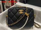 Chanel Camera Bag in Black Grained Calfskin Replica