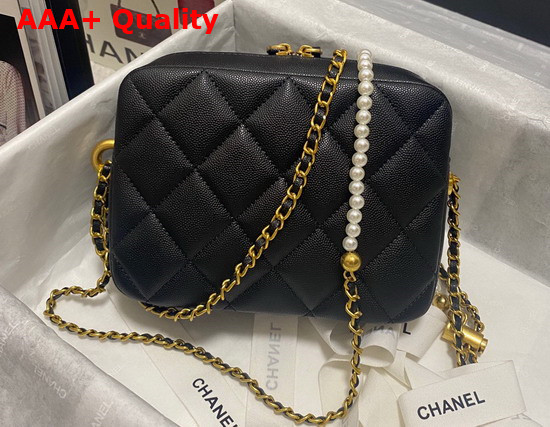 Chanel Camera Bag in Black Grained Calfskin Replica