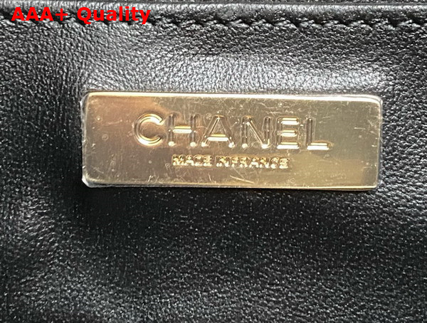 Chanel Camera Bag in Black Lambskin Gold Tone Metal Ref AS4817 Replica