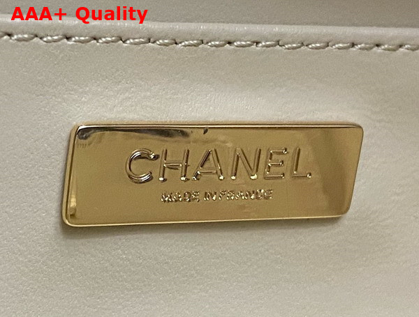 Chanel Camera Bag in Dark Beige Lambskin Gold Tone Metal Ref AS4817 Replica