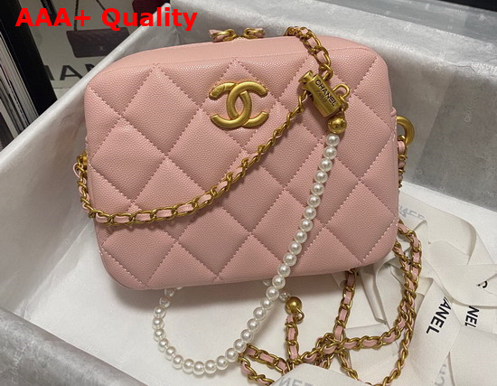 Chanel Camera Bag in Pink Grained Calfskin Replica