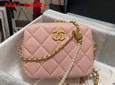 Chanel Camera Bag in Pink Grained Calfskin Replica