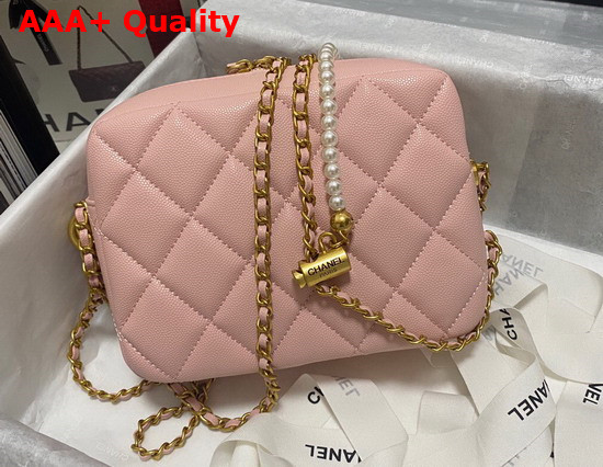 Chanel Camera Bag in Pink Grained Calfskin Replica