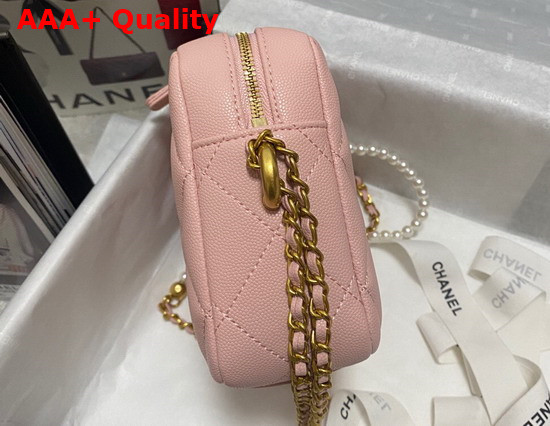 Chanel Camera Bag in Pink Grained Calfskin Replica